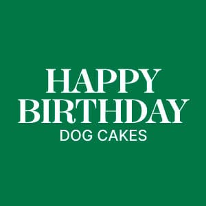 Thoughtfully Pets, Blue Dog Birthday Cookie Gift Set, Hand Decorated Crunchy Dog Treats in Bone Shapes, Great for Birthdays, Set of 8