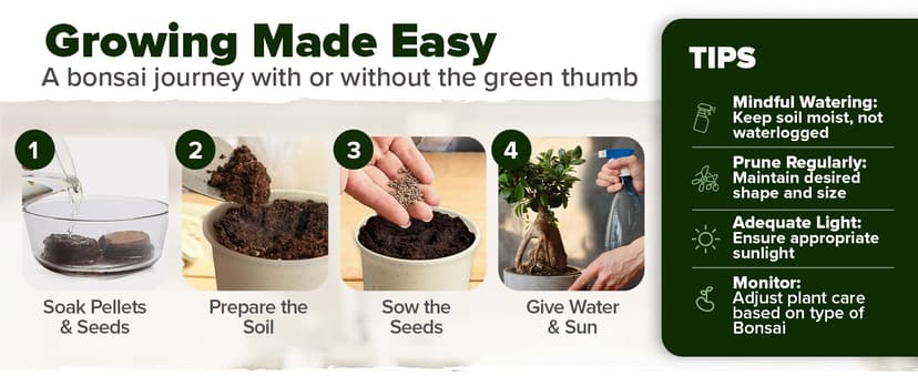 Bonsai Tree Kit - Gifts for Men & Women - Grow 4 Bonsai Trees - Unique Gardening Crafts for Adults, DIY Hobbies for Plant Lovers & Gardeners - Unusual Christmas Gift Ideas for Mom & Dad