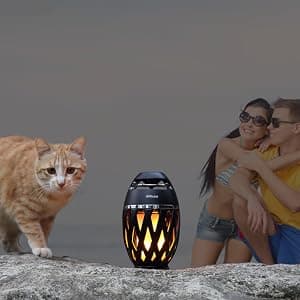 DiKaou LED Flame Outdoor Table Lamp Torch Table Lamp with Blutooth Speaker, Rechargeable Ambience Lantern with Flickers Warm Light for Patio/Porch/Home Decor, Best Gift for Men Women Teens Kids B07QQNST7B