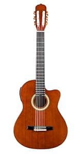 WINZZ AF227A 39 Inches Concert Acoustic Acustica Guitar with Full Kit, Delicate Vine