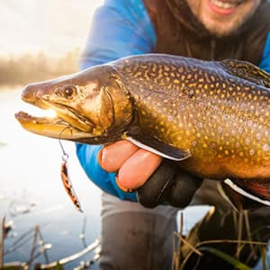 RIKIMARU Braided Fishing Line Abrasion Resistant Superline Zero Stretch&Low Memory Extra Thin Diameter 327-1094 Yds, 4-180LB