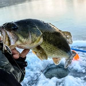 RIKIMARU Braided Fishing Line Abrasion Resistant Superline Zero Stretch&Low Memory Extra Thin Diameter 327-1094 Yds, 4-180LB